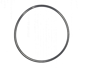 Dichtungsring für Filtergehäuse